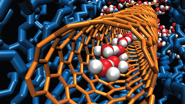 Water in a carbon nanotube.